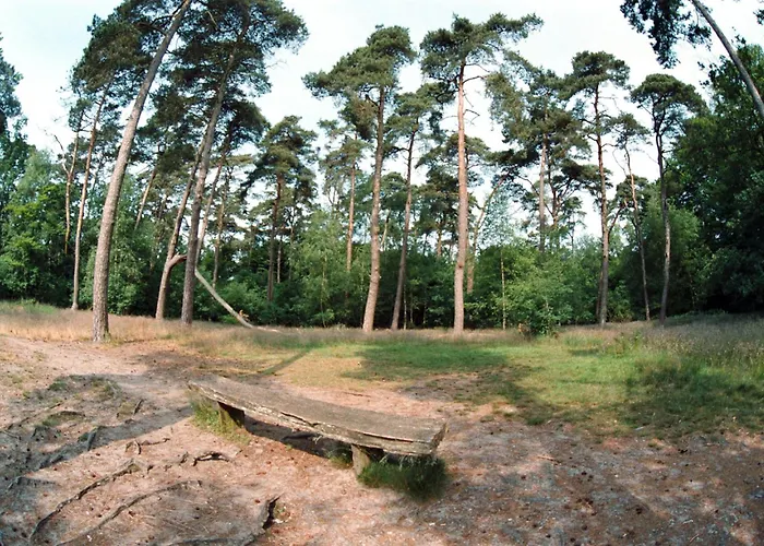 Szálloda Fletcher Restaurant Boschoord Oisterwijk